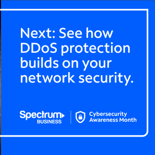 Next: See how DDoS protection builds on your network security.